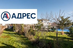 ������ ������� ����