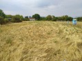 Продава ПАРЦЕЛ, гр. София, с. Яна, снимка 2