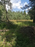 Продава ПАРЦЕЛ, област Пловдив, с. Ситово • 50000 € • 99191417 — Holmes.bg