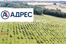 Plot Benkovski, region Varna