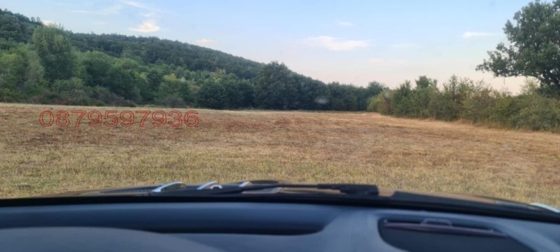 Продава ЗЕМЕДЕЛСКА ЗЕМЯ, с. Боровица, област Видин