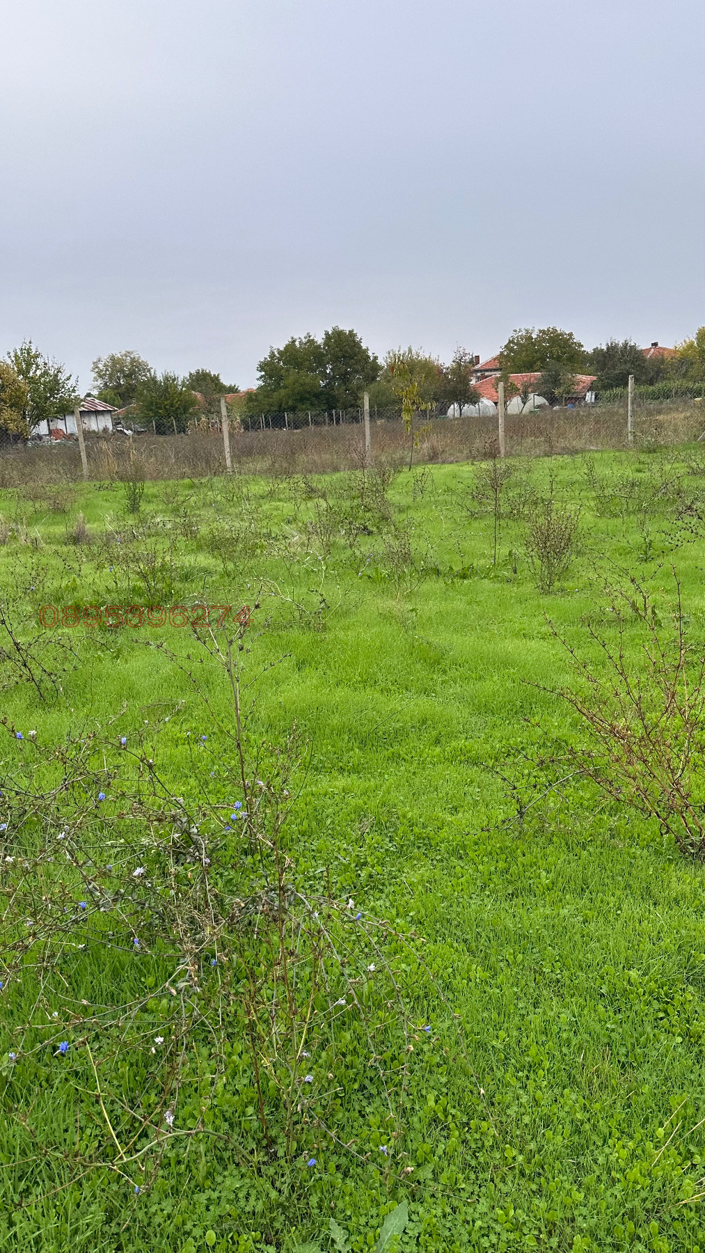 Продава ПАРЦЕЛ, с. Сърнево, област Стара Загора, снимка 2 - Парцели - 54746614