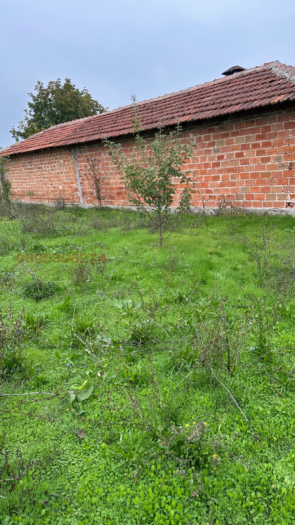 Продава ПАРЦЕЛ, с. Сърнево, област Стара Загора, снимка 3 - Парцели - 54746614