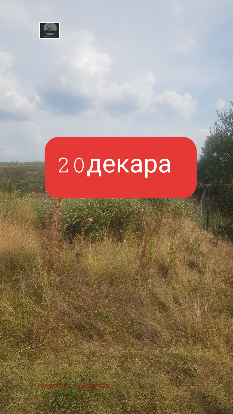 Продава ПАРЦЕЛ в област Кюстендил, гр. Кочериново - 20300 кв.м / 42 000 € » 82 144.86 лв., ПОЗИТИВ ТРЕЙД ЕООД