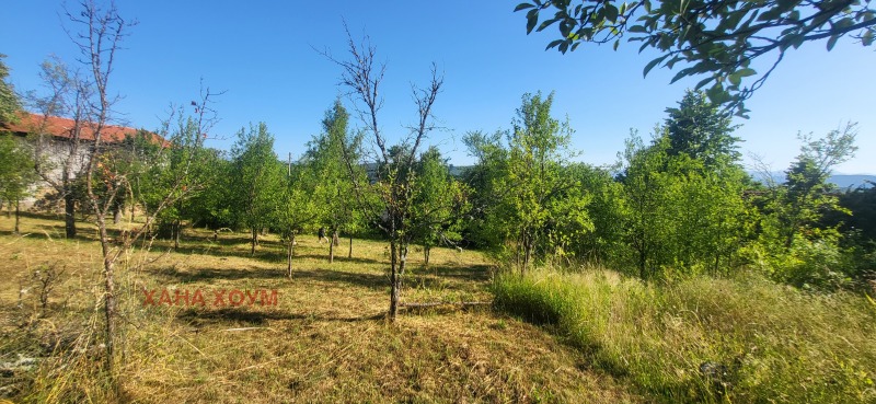 Продава  Къща област Ловеч , с. Белиш , 334 кв.м | 92452019 - изображение [16]