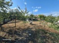Продава КЪЩА, област Варна, с. Бенковски • 60000 € • 30555814 — Holmes.bg