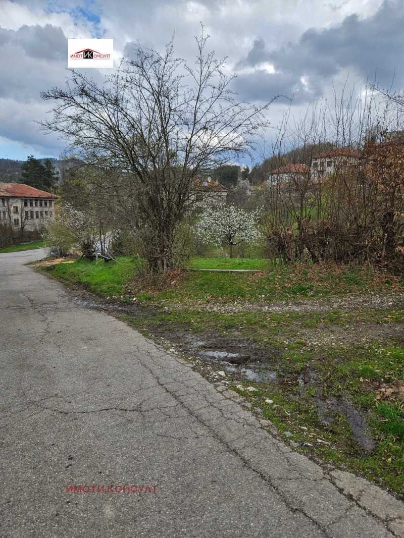 Продава ПАРЦЕЛ в област Габрово, гр. Плачковци - 800 кв.м / 11 900 € » 23 274.38 лв., ИМОТИ КОНСУЛТ