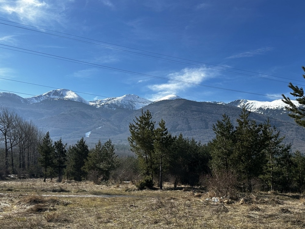 ������� ������ | Imot.bg � ����������� 1