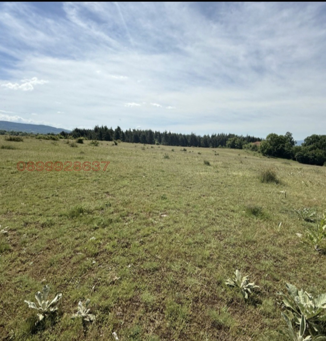 ������� ������ | Imot.bg � ����������� 2