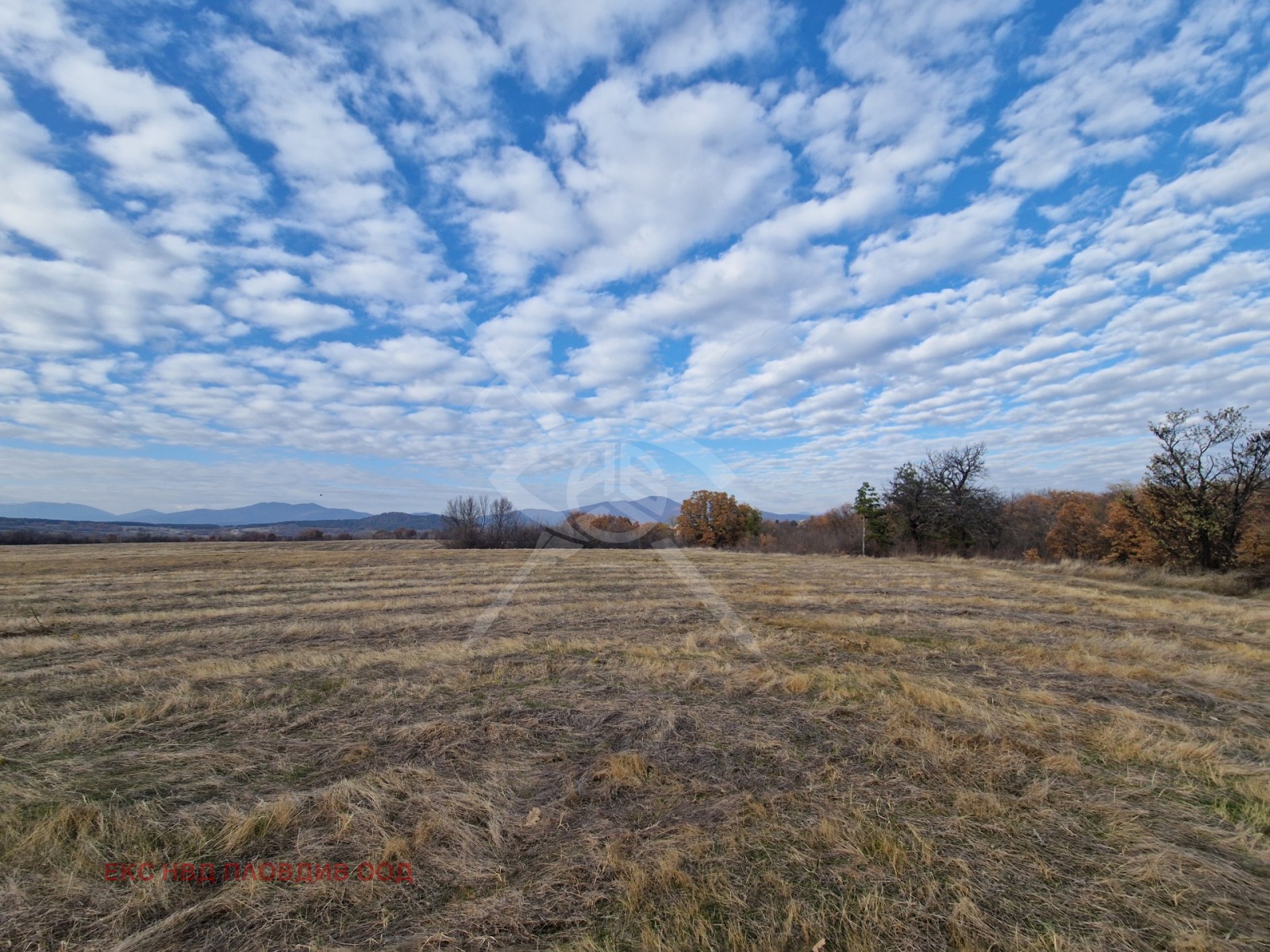 ������� ������ | Imot.bg � ����������� 1