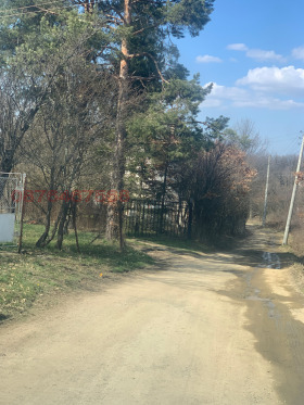 ����� ������� ������,�. �������, ������ �����