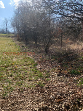 ������� ������ | Imot.bg � ����� ������ 3