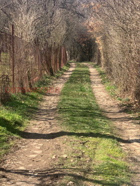 ������� ������ | Imot.bg � ����� ������ 2