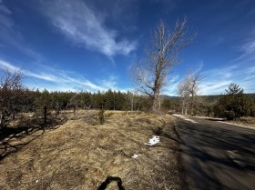 ������� ������ | Imot.bg � ����� ������ 7