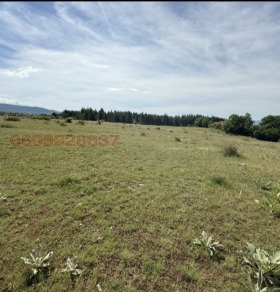 ������� ������ | Imot.bg � ����� ������ 2