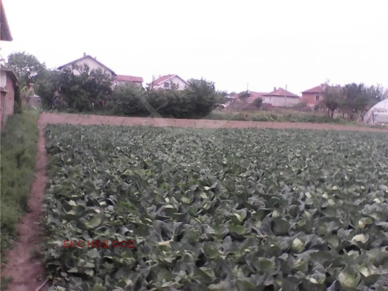 Продаја  Плот регион Пловдив , Маноле , 885 м2 | 42491794 - слика [2]