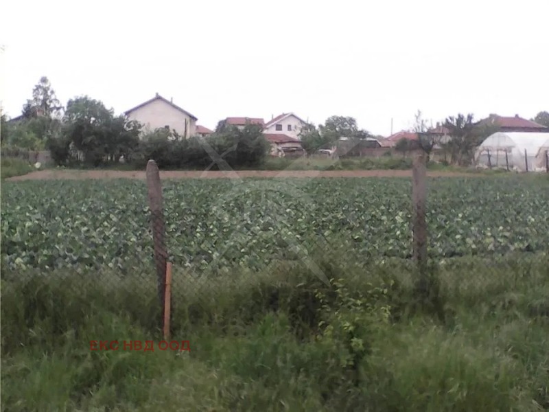 Продаја  Плот регион Пловдив , Маноле , 885 м2 | 42491794
