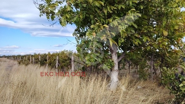 Продава ПАРЦЕЛ, с. Оризари, област Пловдив, снимка 3 - Парцели - 52690172