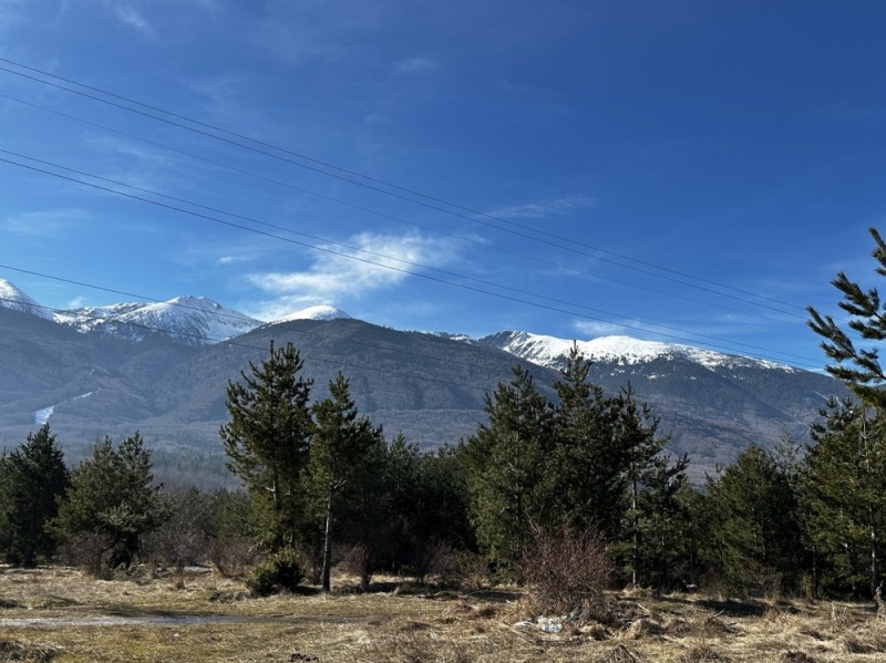 Продава ПАРЦЕЛ, гр. Разлог, област Благоевград, снимка 5 - Парцели - 52708912