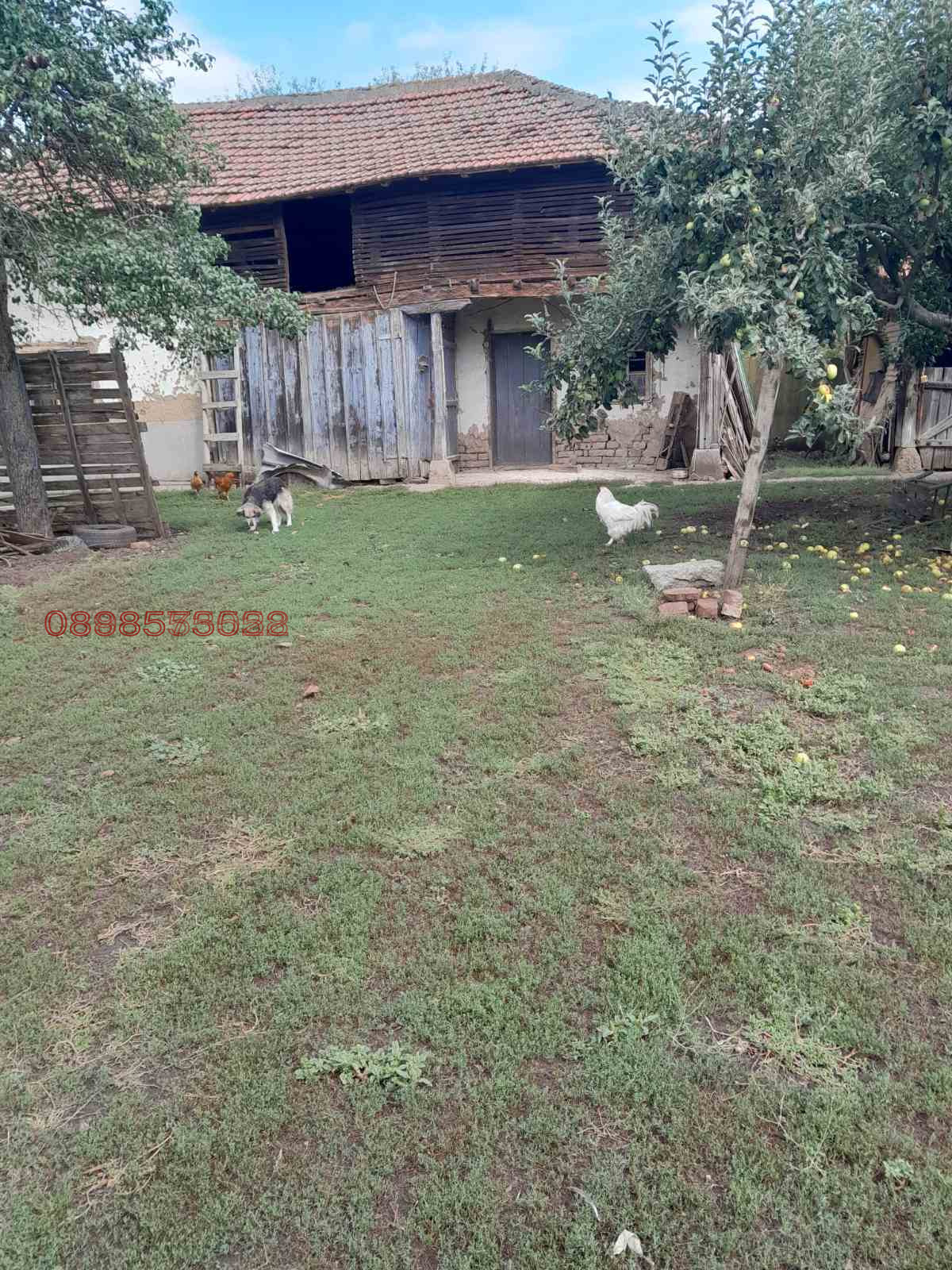 Продава КЪЩА, с. Аспарухово, област Монтана, снимка 7 - Къщи - 55930336