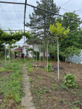 Продава КЪЩА, гр. Долни Дъбник, област Плевен, снимка 15