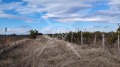Продава ПАРЦЕЛ, с. Оризари, област Пловдив, снимка 2