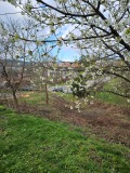 Продава ПАРЦЕЛ, област Габрово, гр. Плачковци • 11900 € • 60959845 — Holmes.bg