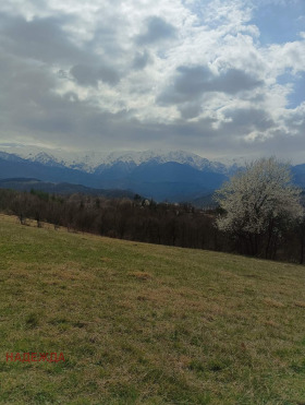 Handlung Aprilzi, region Lowetsch 2