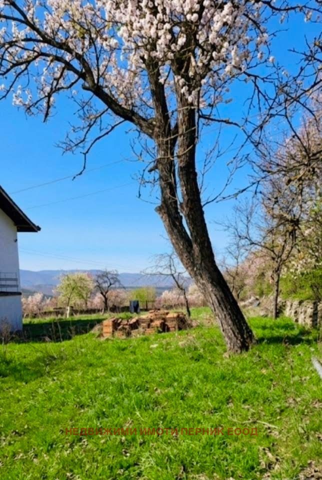 Продава КЪЩА, с. Горна Врабча, област Перник, снимка 3 - Къщи - 54424114