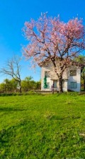 Продава КЪЩА, с. Горна Врабча, област Перник, снимка 4