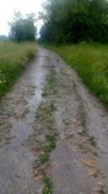 Продава ПАРЦЕЛ, с. Любичево, област Търговище, снимка 2