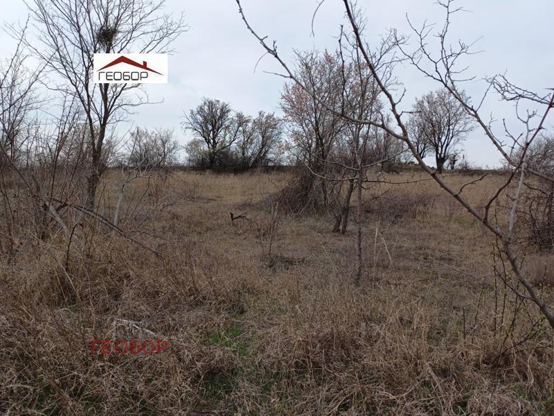 ������� ������ | Imot.bg � ����������� 3