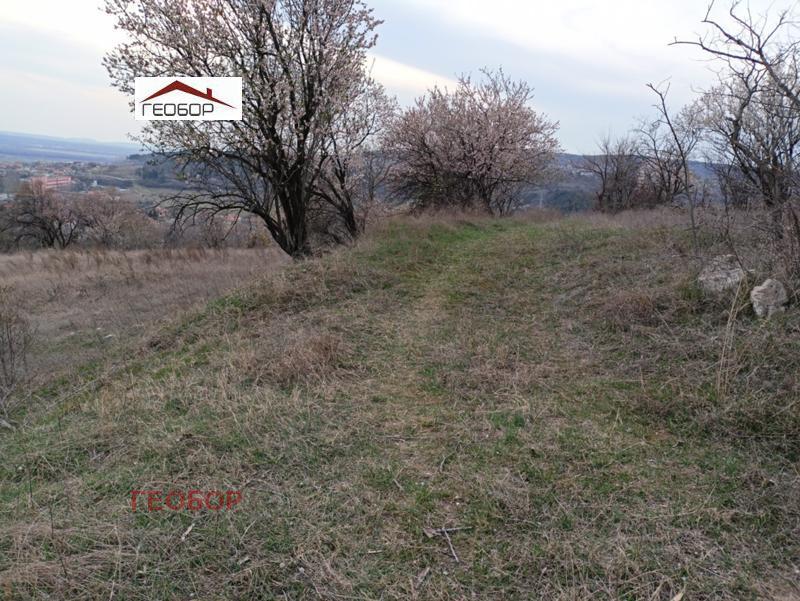 ������� ������ | Imot.bg � ����������� 4