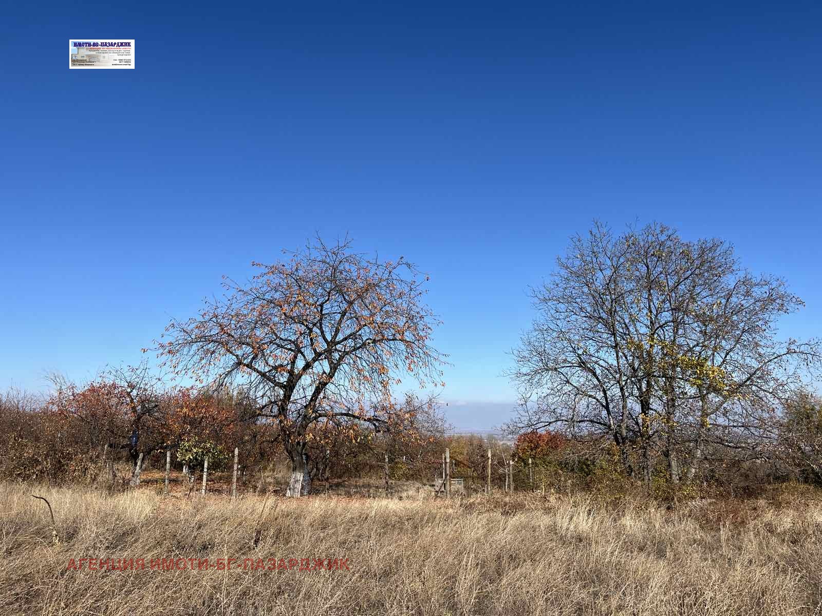 ������� ������ | Imot.bg � ����������� 1