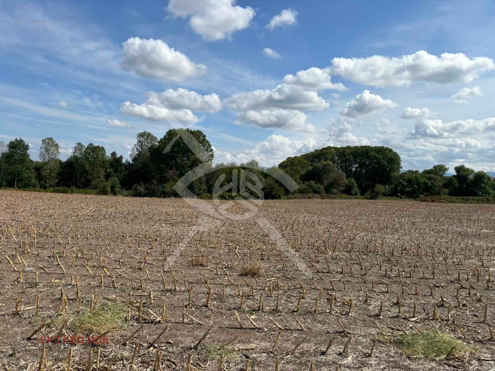 ������� ������ | Imot.bg � ����������� 3