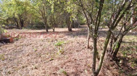 ПАРЦЕЛ, 1 053 m2