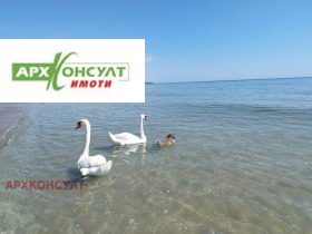 ������� ������ | Imot.bg � ����� ������ 4