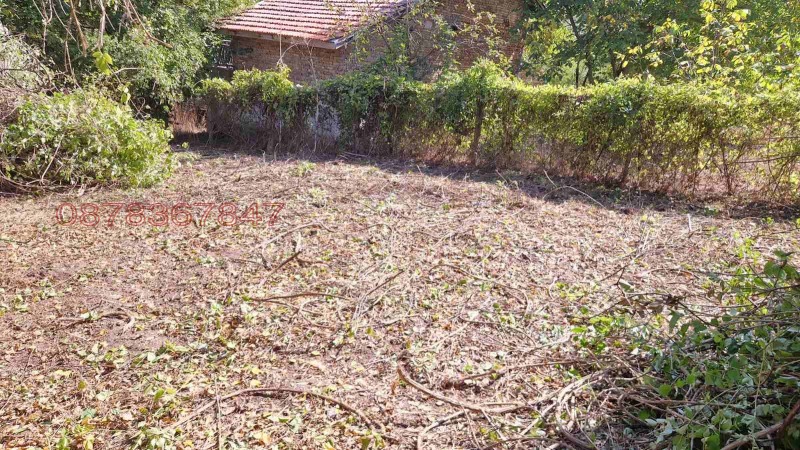 Продава ПАРЦЕЛ, с. Староселец, област Варна, снимка 2 - Парцели - 52982544