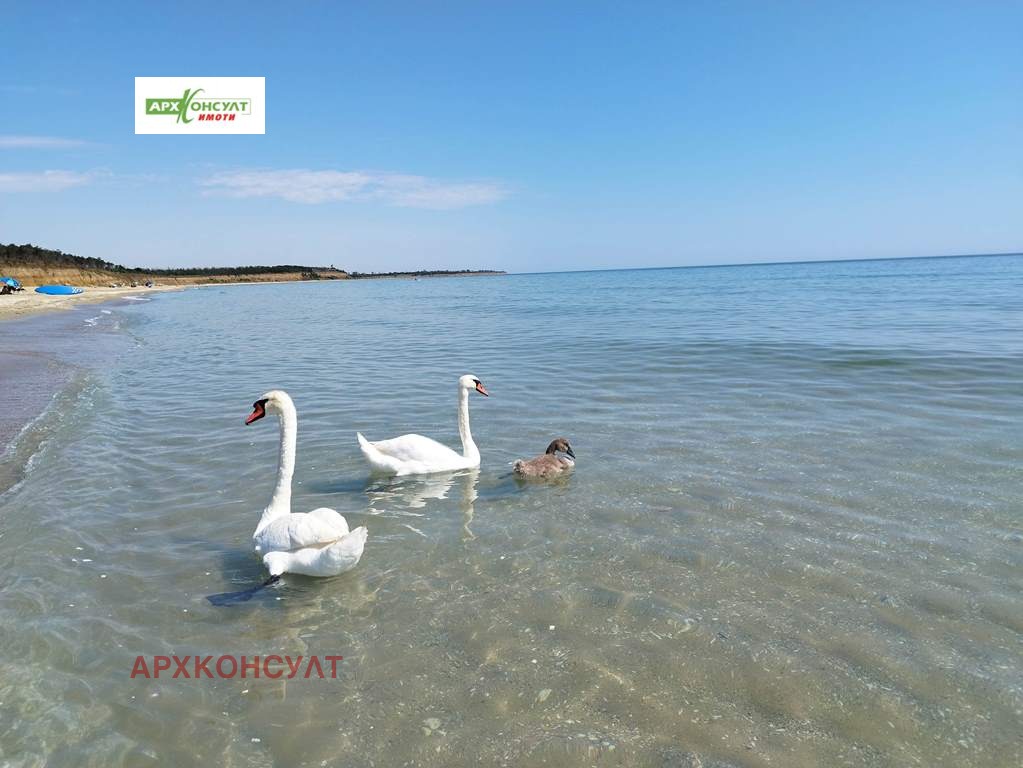 Продава ПАРЦЕЛ, с. Езерец, област Добрич, снимка 4 - Парцели - 55638032