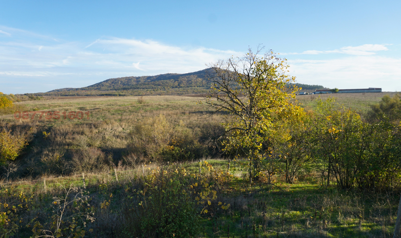 ������� ���� | Imot.bg � ����������� 8