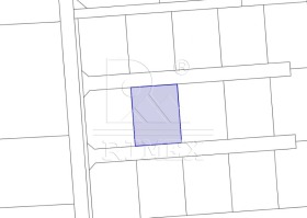 ����� ������� ������,���� �������, ����������