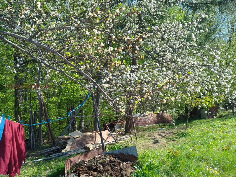 Продава ВИЛА, гр. Троян, област Ловеч, снимка 5 - Вили - 52805503