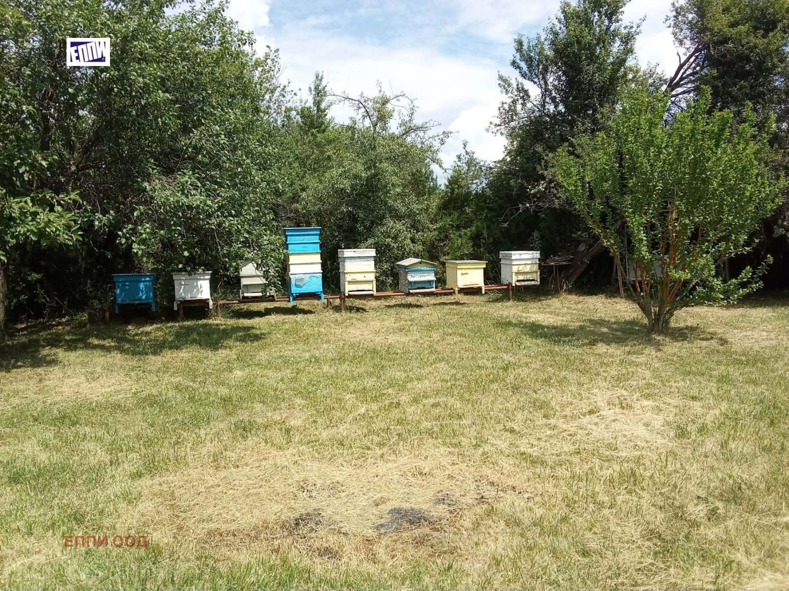 ������� ���� | Imot.bg � ����������� 13