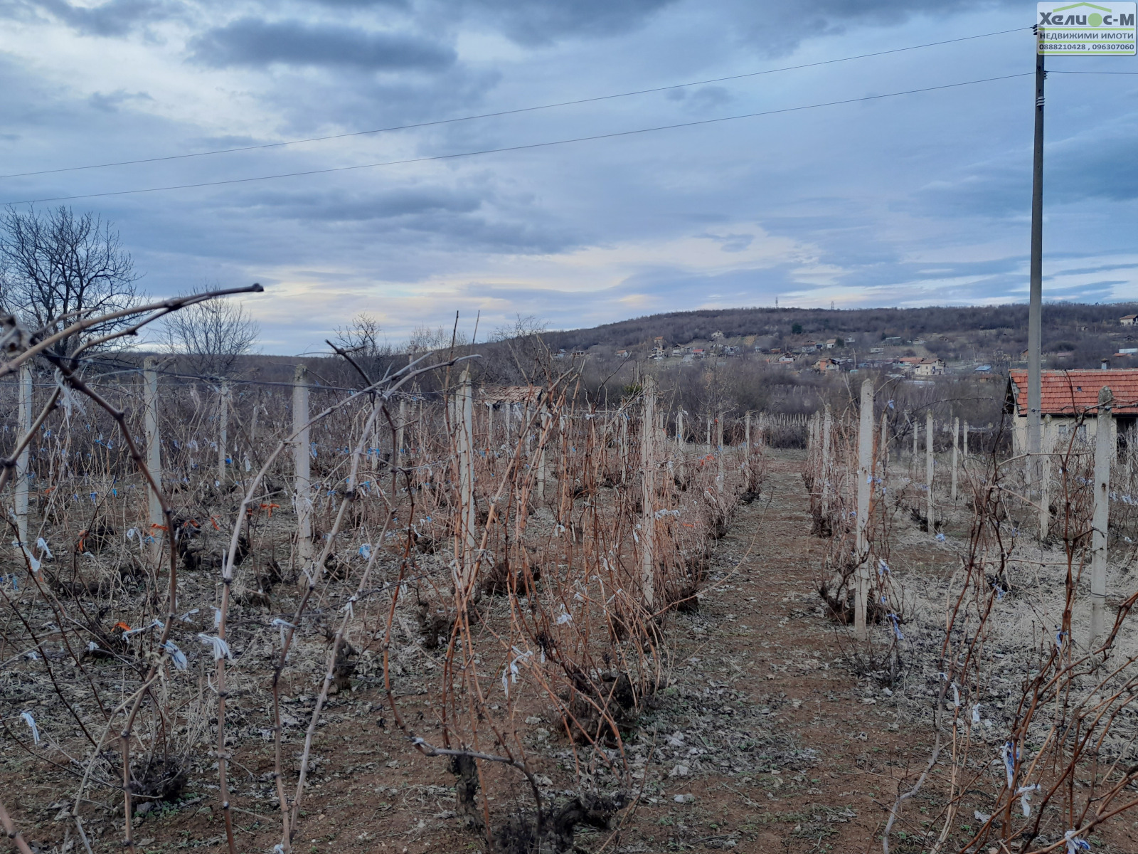 ������� ������ | Imot.bg � ����������� 12