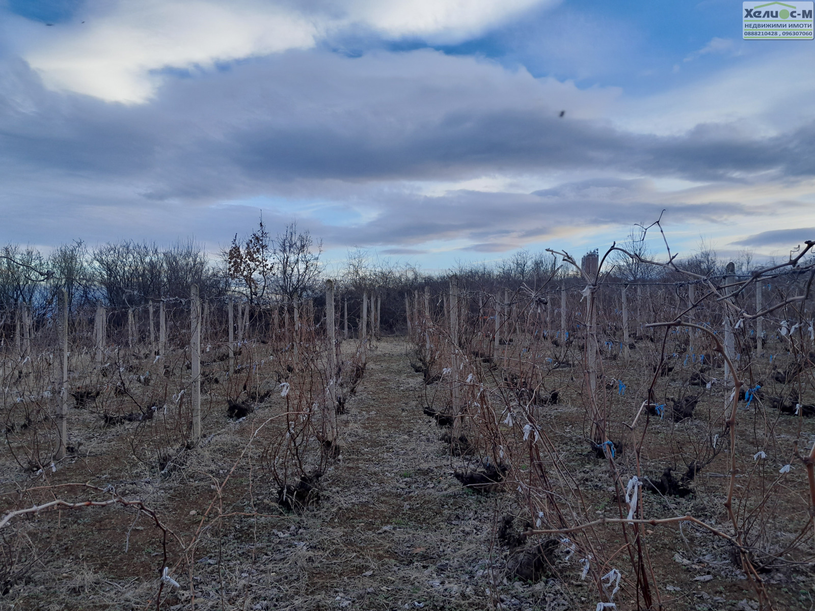 ������� ������ | Imot.bg � ����������� 11