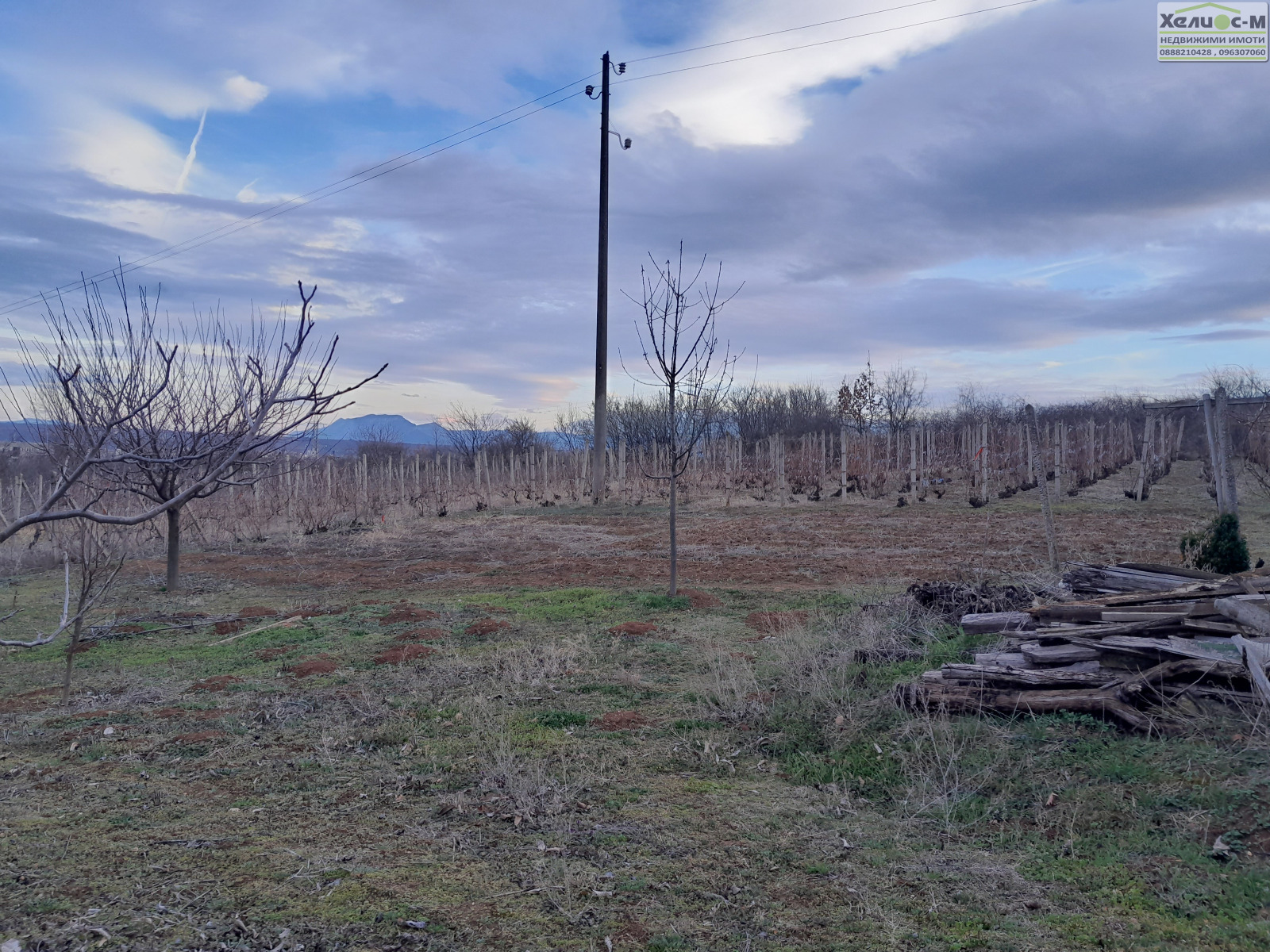 ������� ������ | Imot.bg � ����������� 7