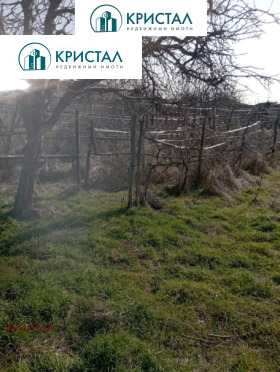 ������� ���� | Imot.bg � ����� ������ 9