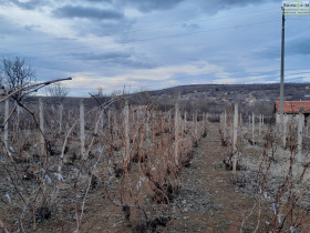 ������� ������ | Imot.bg � ����� ������ 12