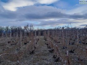 ������� ������ | Imot.bg � ����� ������ 11