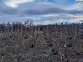 ������� ������ | Imot.bg � ����� ������ 10